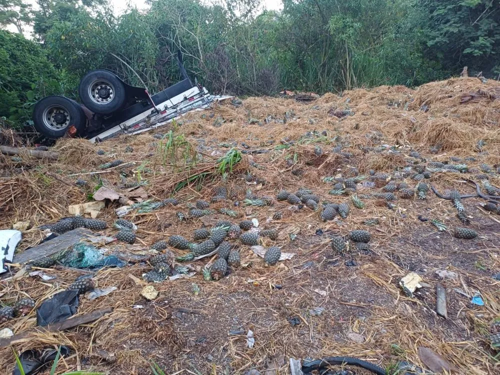 Acidente mata caminhoneiro em rodovia do Norte Pioneiro