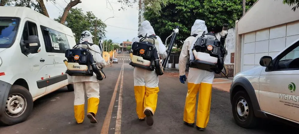 Município do Norte Pioneiro decreta estado de emergência pela Dengue