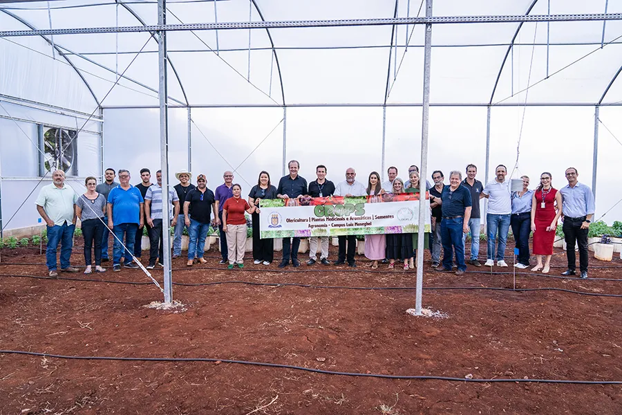 Nova estufa climatizada da UENP traz ganho acadêmico e ajuda pequenos produtores