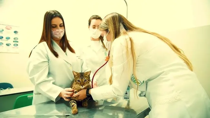 Curso da UENP é classificado como um dos melhores do Brasil