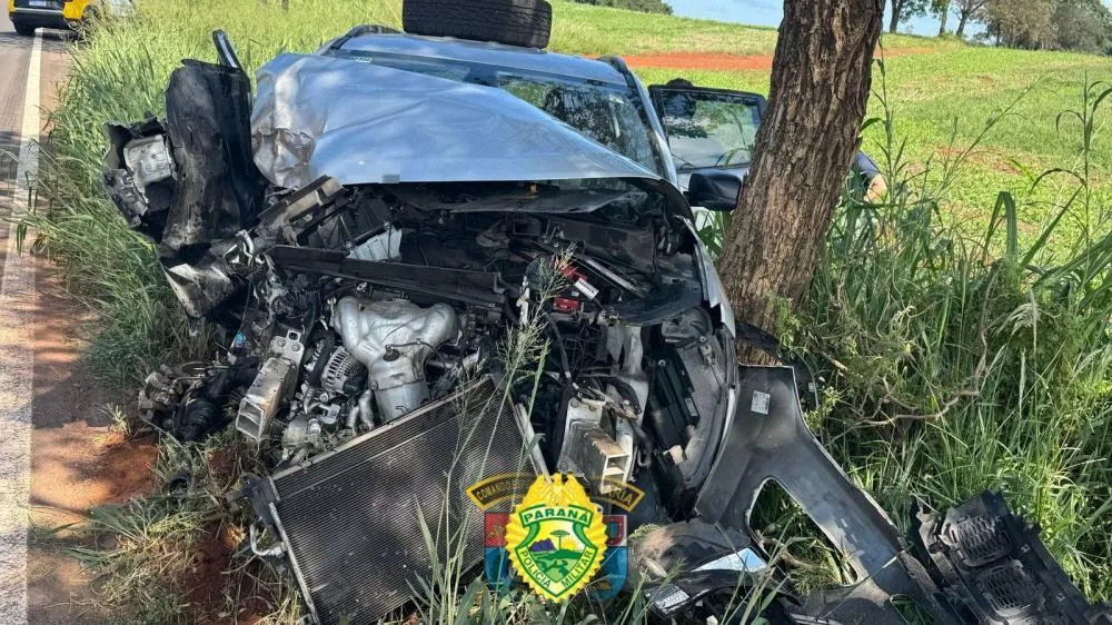 Abelhas invadem carro e causam acidente que deixa um ferido
