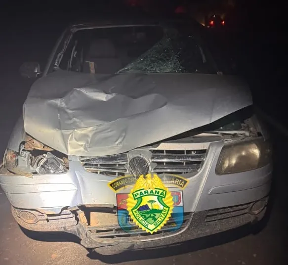 Homem morre após ser atropelado em rodovia do Norte Pioneiro