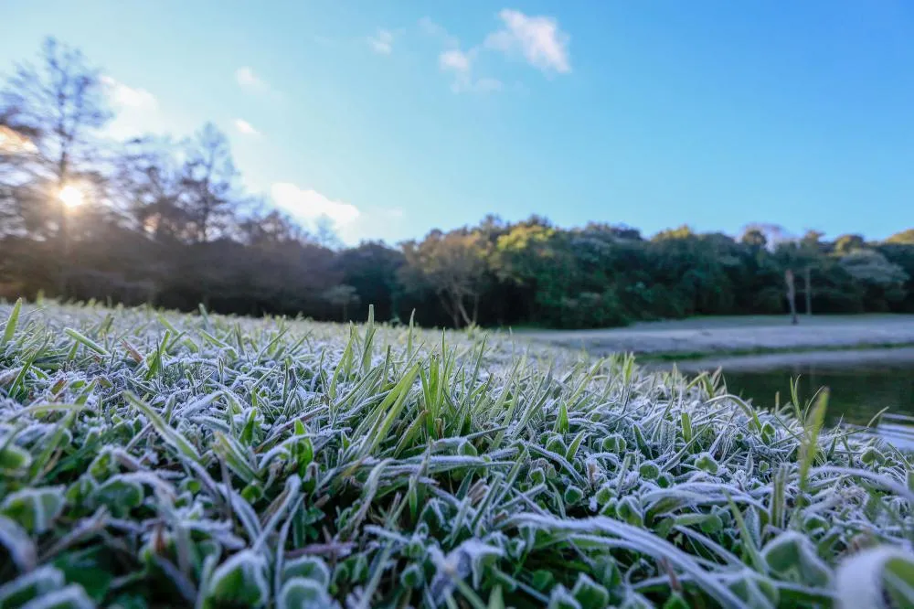 Primeira geada de 2025 é esperada para esta terça-feira, prevê Simepar