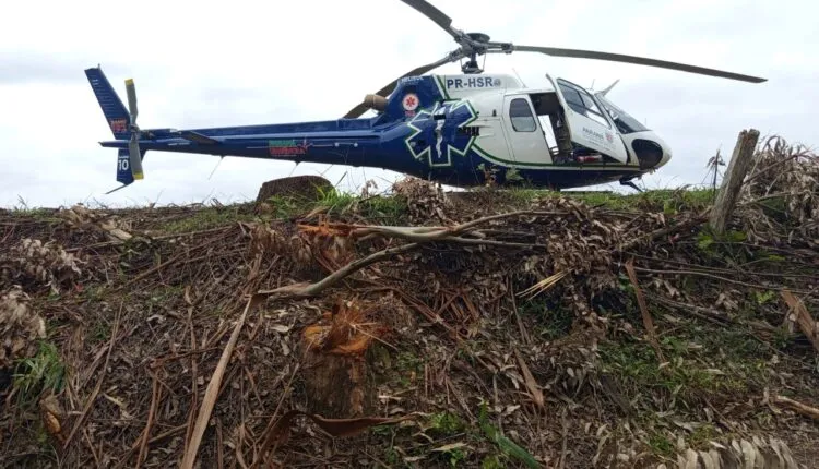 Jaguariaívense morre ao ser atingido por árvore em Castro