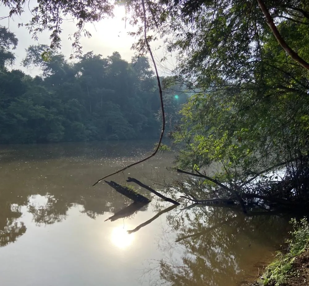 Idoso morre afogado após cair em rio do Norte Pioneiro