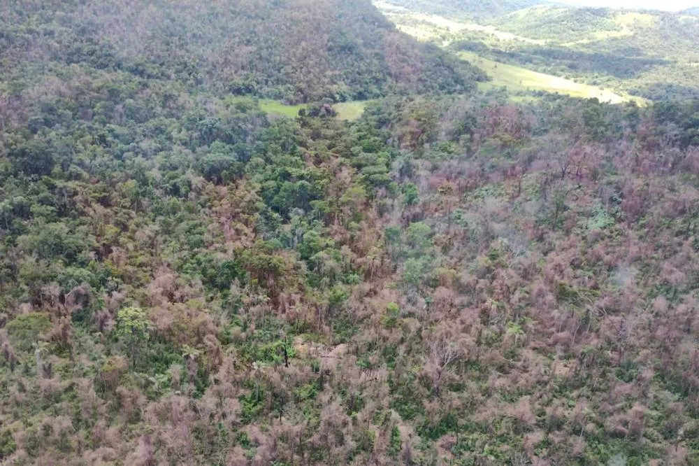 Quatro fazendas são multadas em mais de R$ 7 milhões por queimada ilegal no Norte Pioneiro