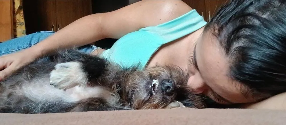 Mães de Pet também celebram neste domingo com seus filhos de quatro patas