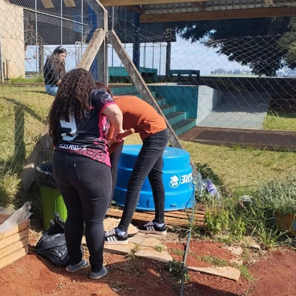 Alunos de colégio estadual em Arapoti transformam lixo orgânico em adubo para horta