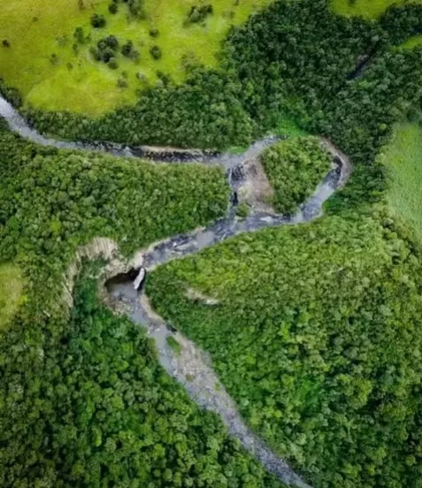 Grávida foi morta em trilha do Norte Pioneiro porque réu não queria 'responsabilidade da paternidade'