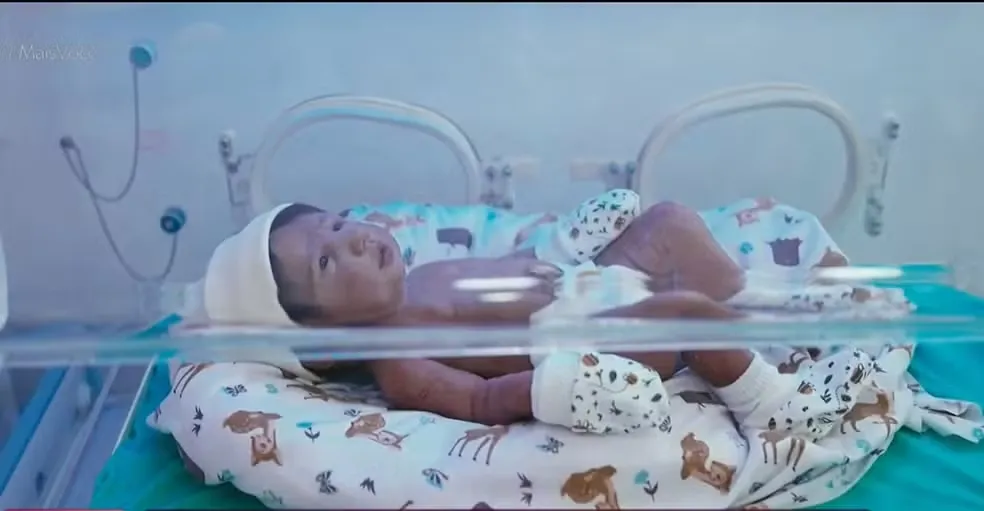 Bebê Reborn: psicóloga explica vínculo de adultos com bonecos que imitam recém-nascidos