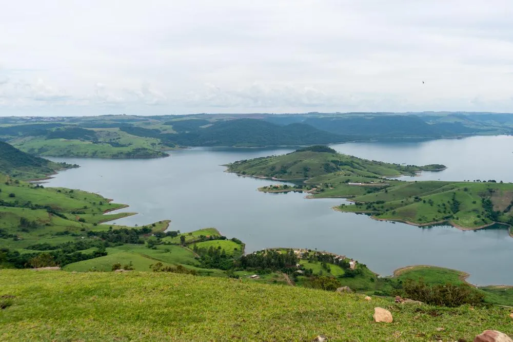 Carlópolis lidera crescimento da Mata Atlântica no Sul do Brasil