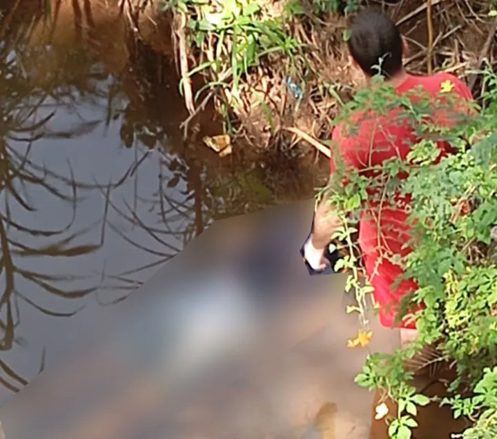 Homem cai de ponte e morre no Norte Pioneiro