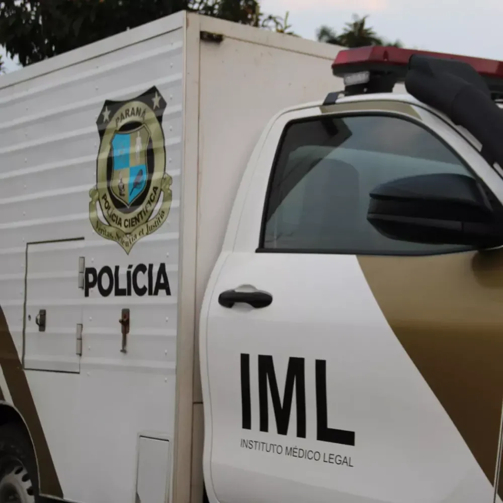 Trabalhador morre ao ser atingido por árvore em cidade dos Campos Gerais