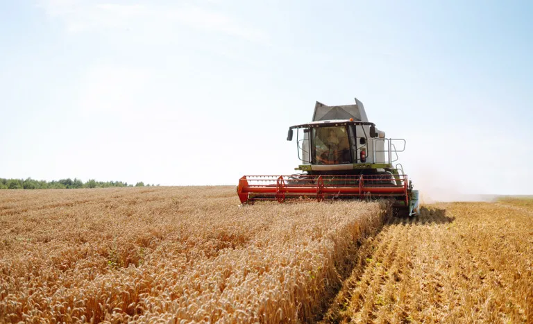Crescimento da economia brasileira é impulsionado pelo agro no primeiro trimestre