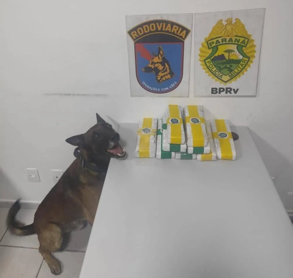 Policiais encontram 7 kg de maconha em ônibus que viajava de Curitiba para Wenceslau Braz