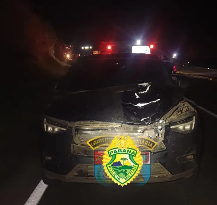 Idosa morre na hora após ser atropelada na PR-092