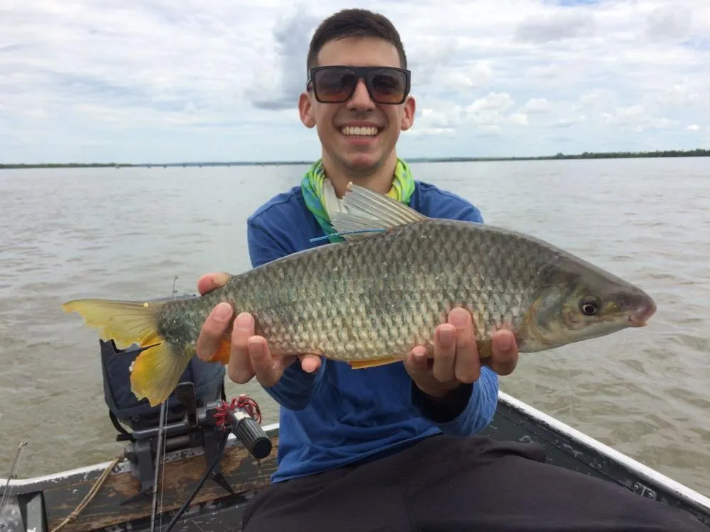 Monitoramento de peixes pela Itaipu confirma boa qualidade ambiental do reservatório