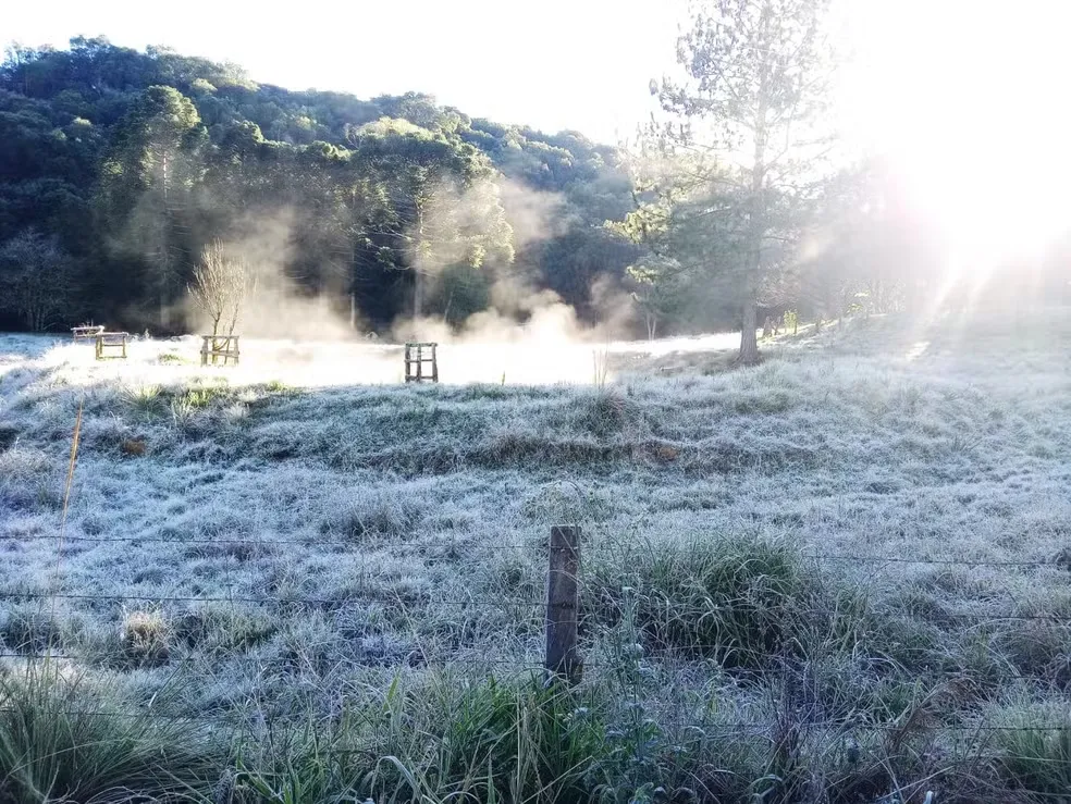 Paraná registra madrugada mais gelada do ano com temperaturas de até -5°C e geada em diversas regiões