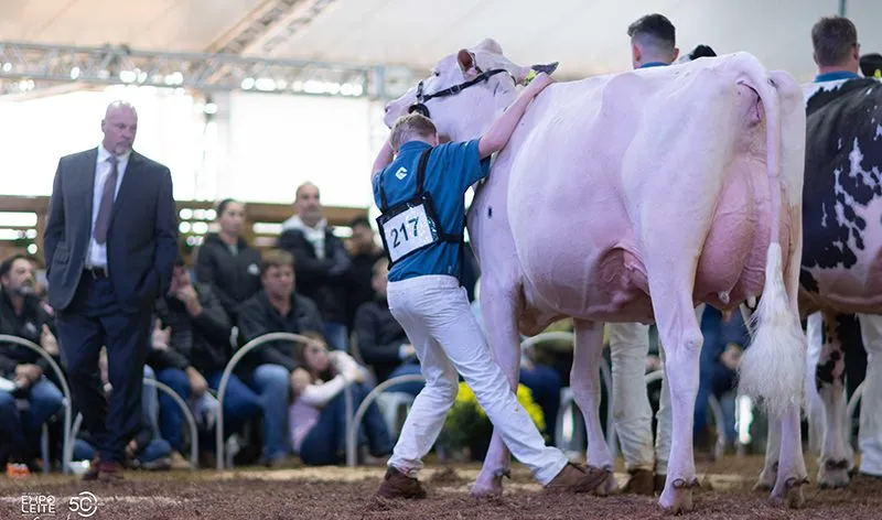 Expoleite promete movimentar os Campos Gerais na próxima semana com mais de 300 animais em exposição