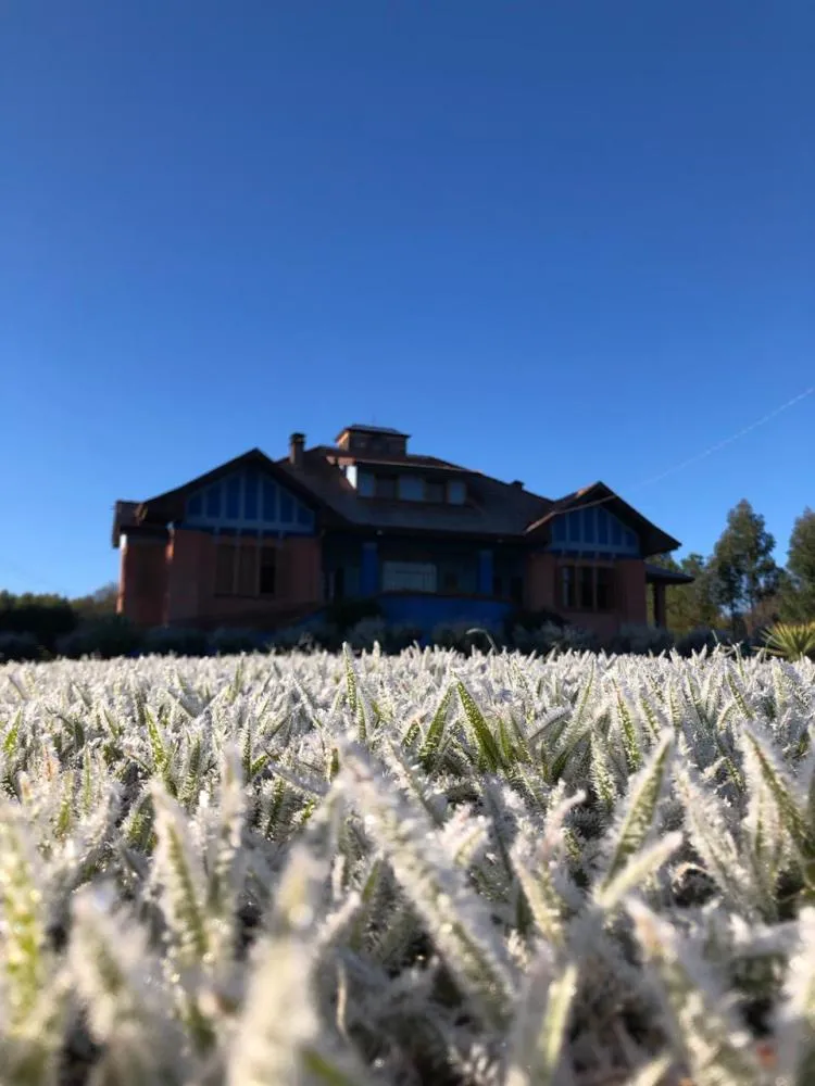 Frio intenso desafia a produção agrícola em Jaguariaíva e outros municípios dos Campos Gerais