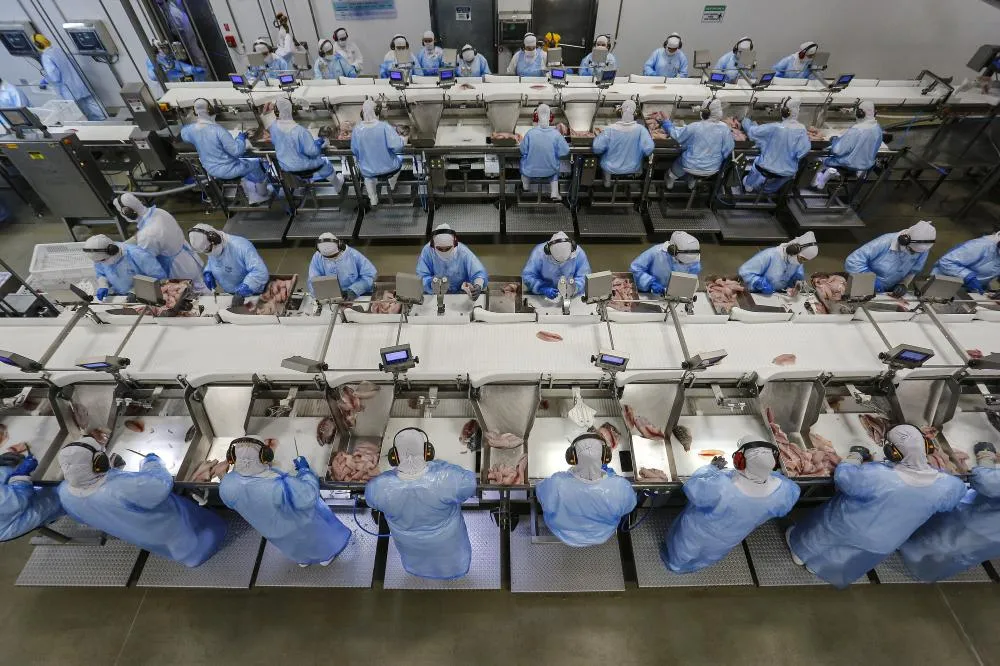 Norte Pioneiro tem saldo positivo na geração de empregos entre janeiro e maio deste ano