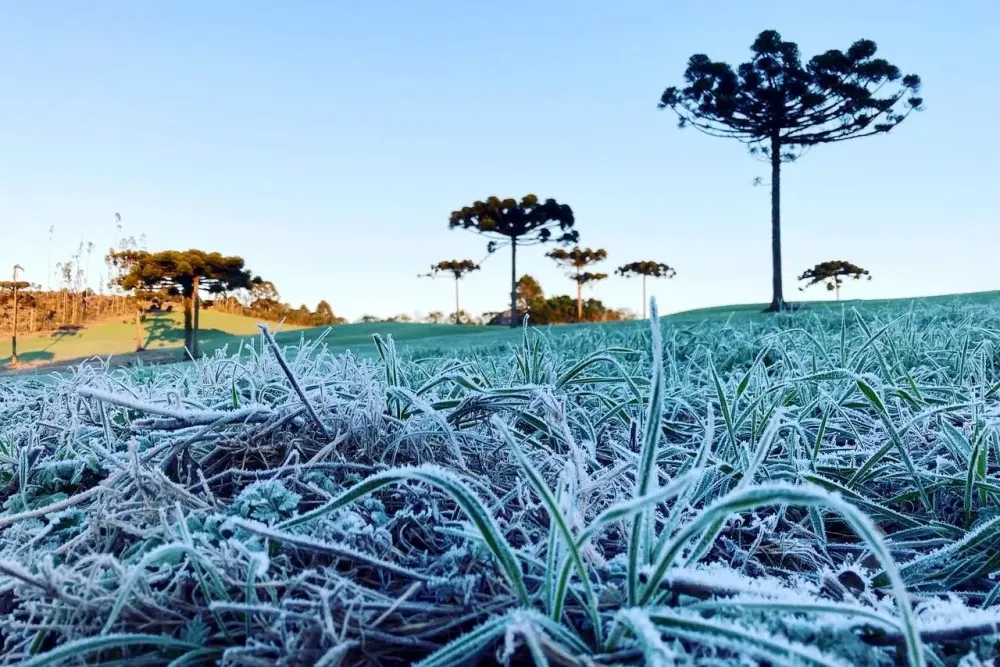 Paraná enfrenta 83 horas seguidas de frio intenso e revive cenário semelhante ao inverno histórico de 2013