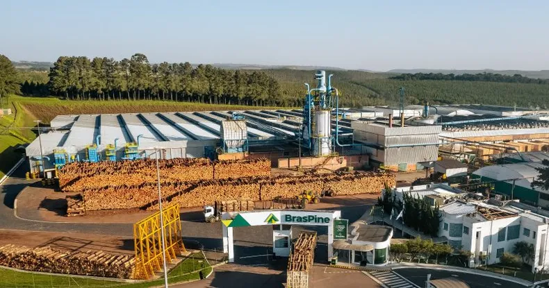 BrasPine anuncia férias coletivas para funcionários em Jaguariaíva após taxação dos Estados Unidos