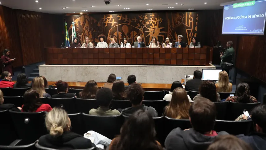 Audiência pública debate os impactos da violência política de gênero na democracia do Brasil