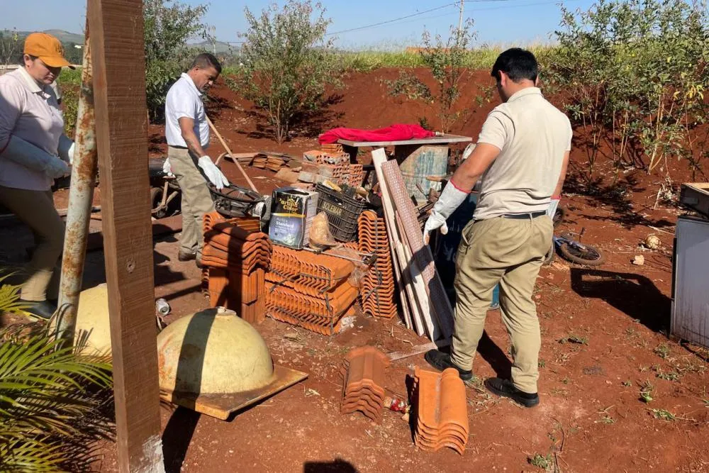 Paraná reforça alerta de prevenção contra escorpiões após morte de criança no Norte Pioneiro
