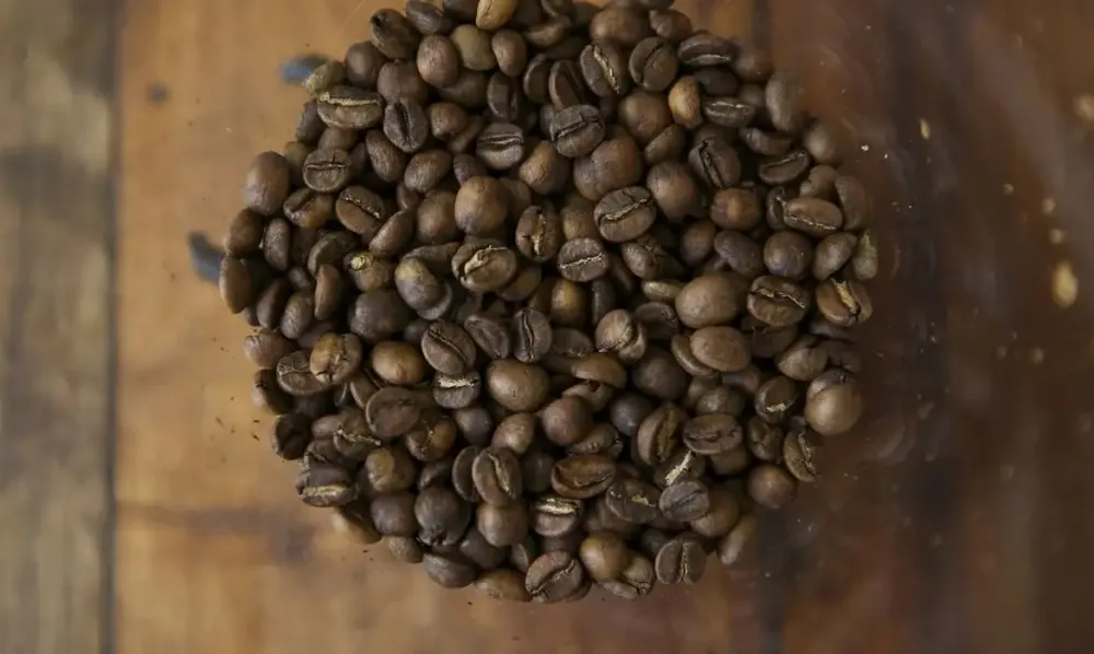 Tarifaço de Trump ameaça agro brasileiro e acende alerta no campo