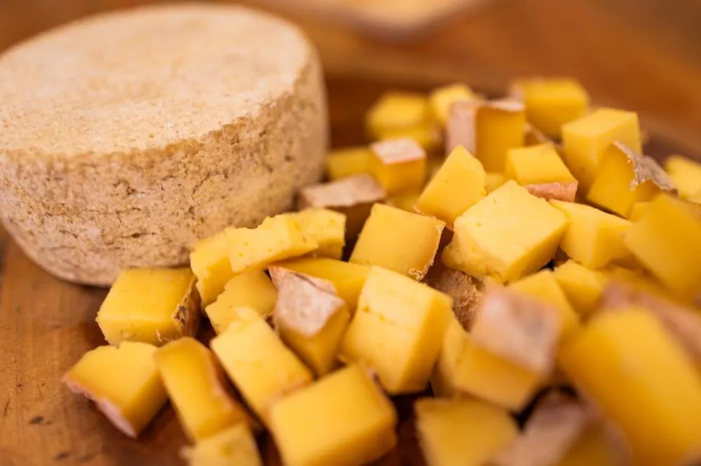 Queijos artesanais da região conquistam premiação nacional