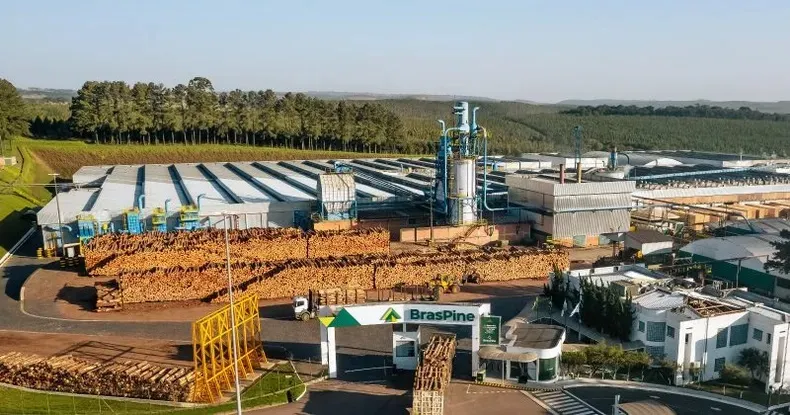 Tarifa anunciada por Trump provoca crise em empresas de Jaguariaíva, Arapoti e Telêmaco Borba, nos Campos Gerais