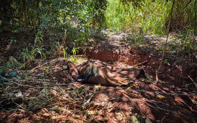 Mulher morre de infarto durante sexo com amante e corpo é encontrado em rodovia