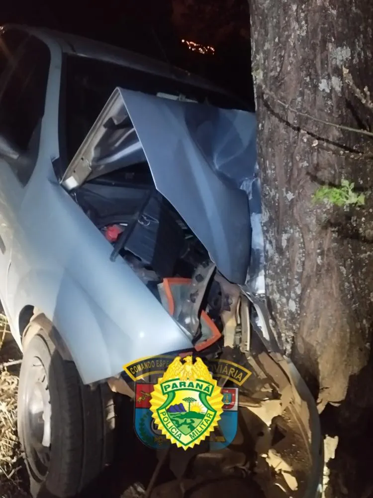 Mulher morre na hora após bater carro contra árvore e rodovia da região