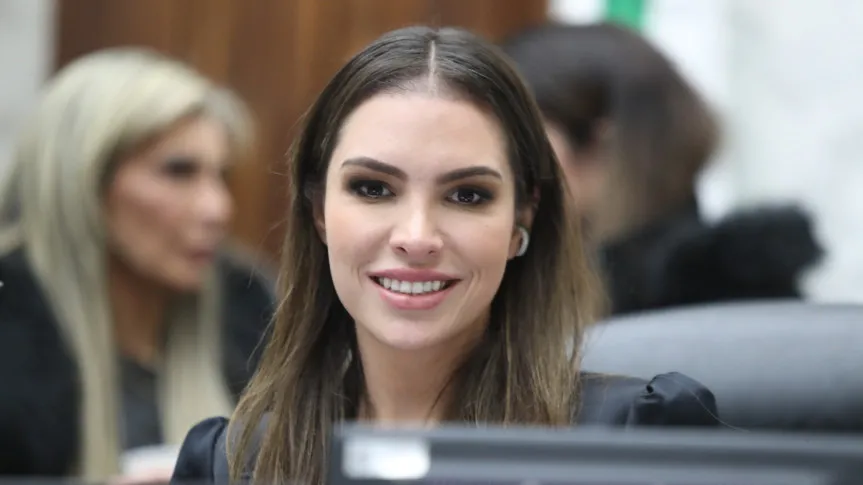 Problemas com vagas precárias e atendimento a crianças nas escolas serão tema de debate na Assembleia Legislativa