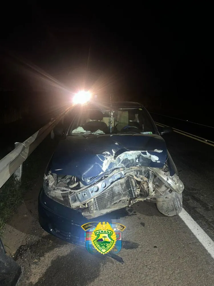 Acidente deixa idoso ferido na PR092 em Wenceslau Braz