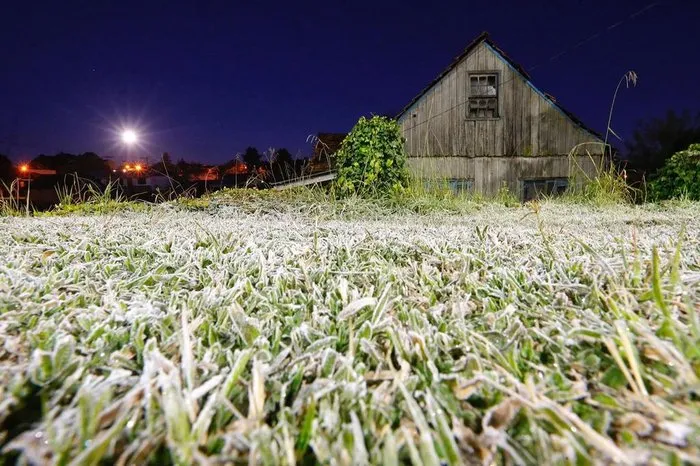 Previsão é de frio e geadas para os próximos dias no Norte Pioneiro e Campos Gerais
