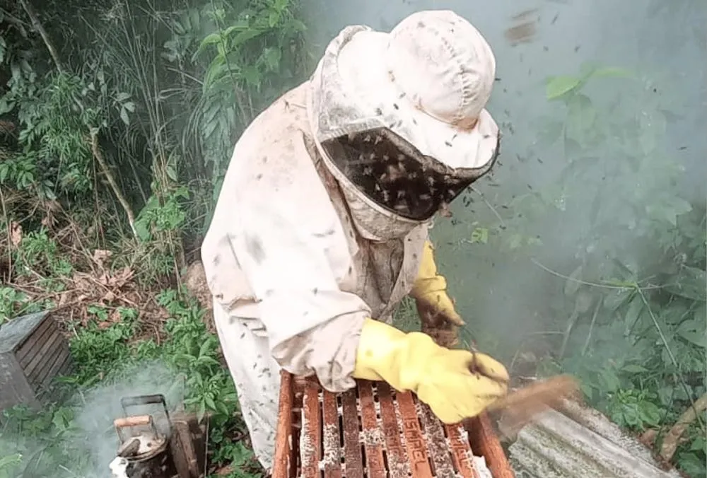 Maior produtora do país, Arapoti é oficialmente reconhecida como a Capital do Mel