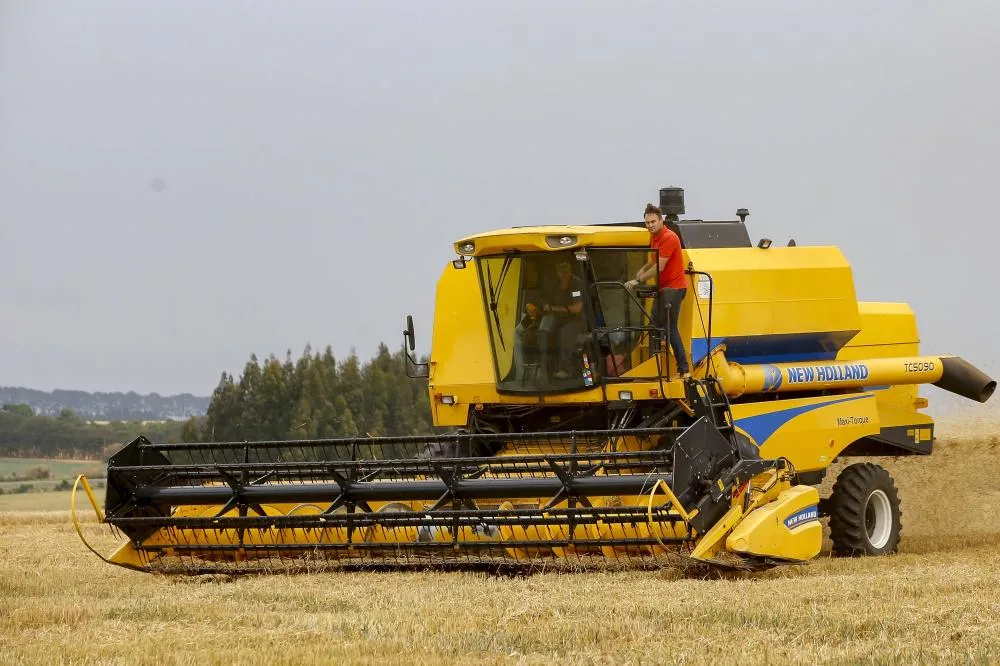 Salários da agropecuária do Paraná crescem e superam a média nacional no segundo semestre