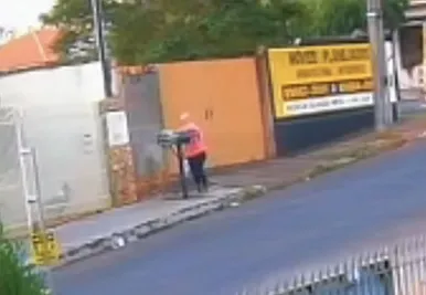 Filhotes de cachorros jogados em lixeira morrem e mulher será investigada