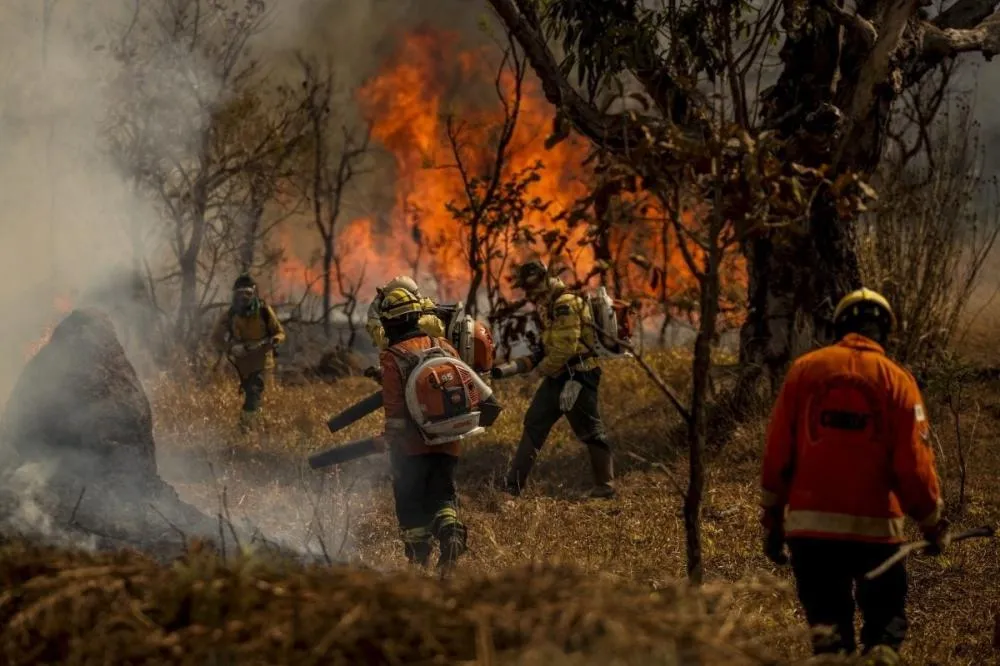 Corpo de Bombeiros e Polícia Militar irão intensificar o combate e punições a incêndios criminosos no Norte Pioneiro