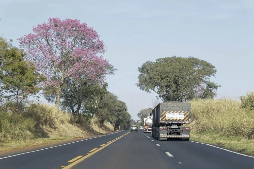 EPR Litoral Pioneiro recebe licença ambiental para iniciar duplicação entre Jacarezinho e Santo Antônio da Platina