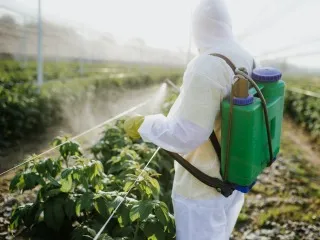 Jaguariaíva abre inscrições para cursos gratuitos de prevenção de acidentes e assédio