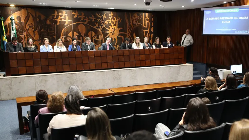 Valorização e empregabilidade de cuidadores de PCDs é tema de debate na Assembleia