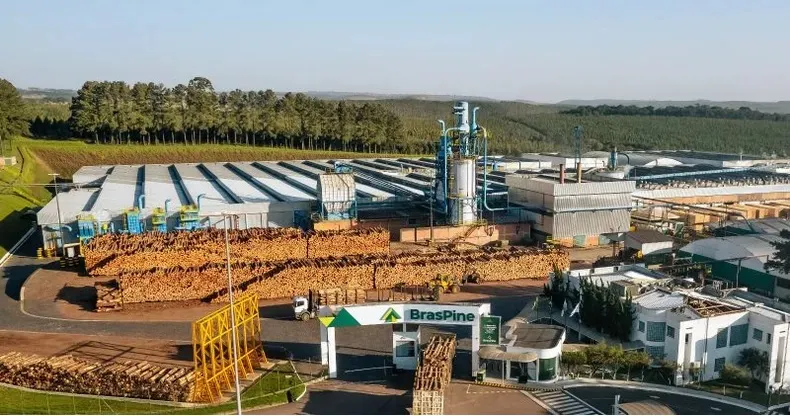 Negociação com os Estados Unidos traz esperança para indústrias madeireiras dos Campos Gerais