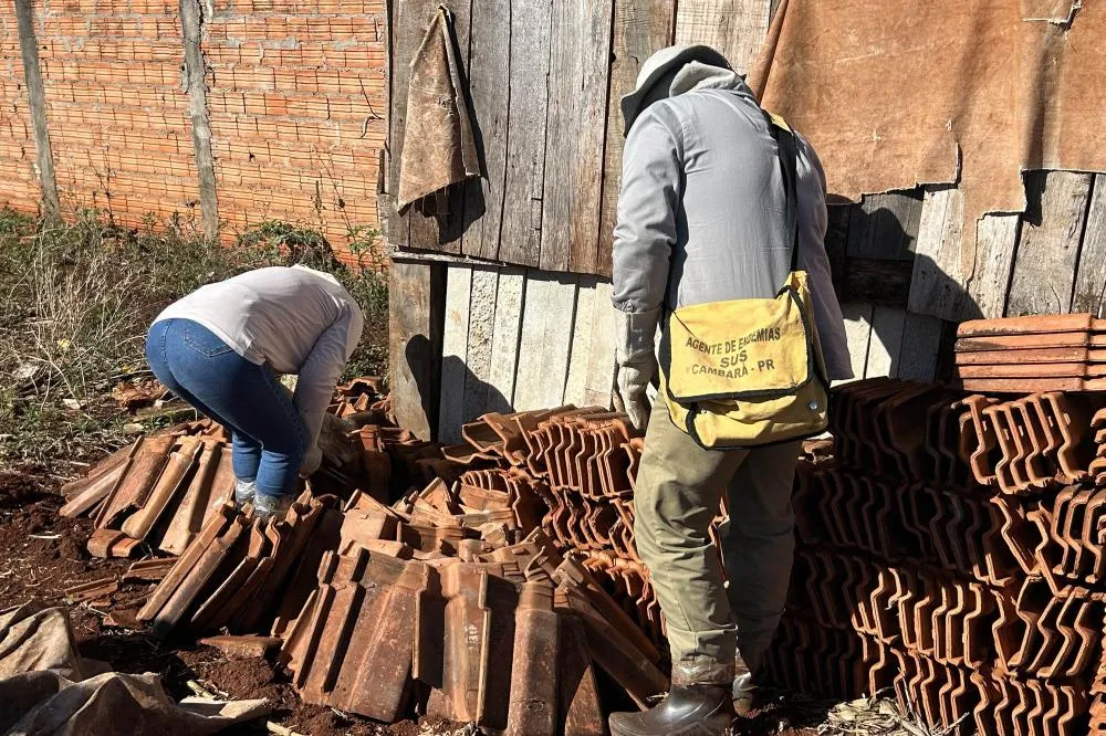 Estado mobiliza equipes de saúde em ação contra escorpiões em Cambará