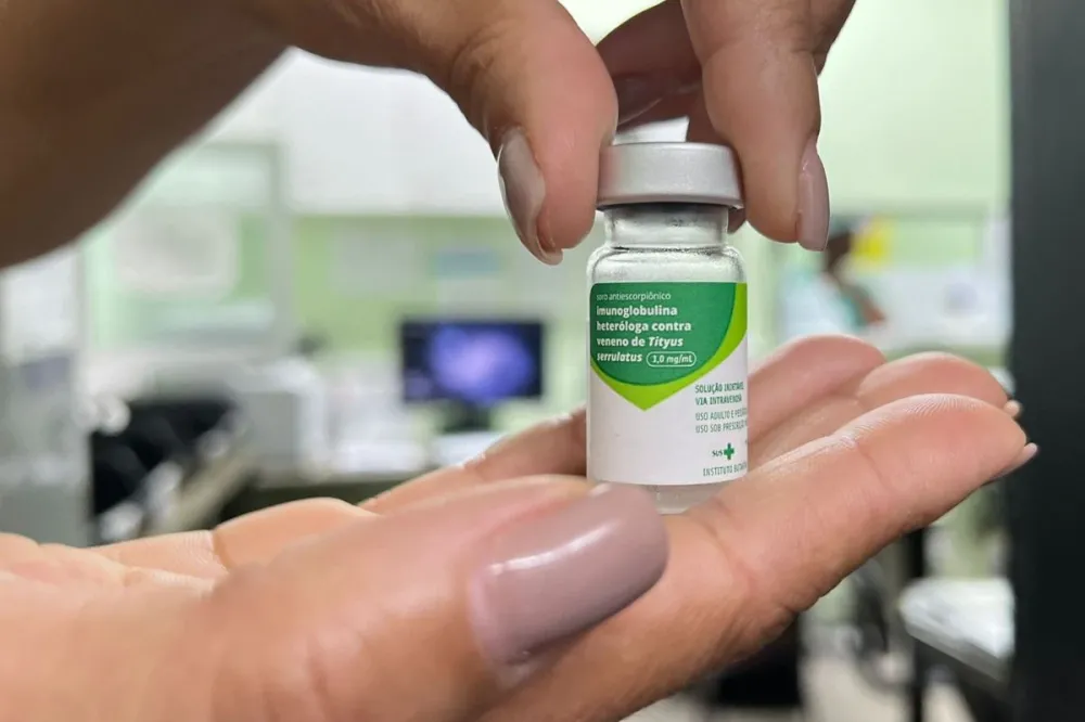 Norte Pioneiro vai receber soro Antiescorpiônico após aumento de acidentes com escorpião