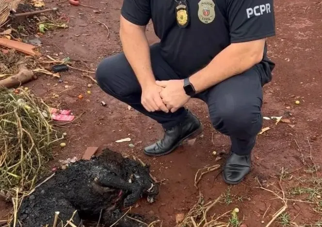 Homem mata e coloca fogo no próprio cachorro no Norte Pioneiro