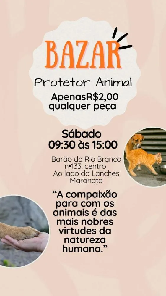 Bazar Protetor Animal realiza superpromoção para arrecadar fundos em Wenceslau Braz