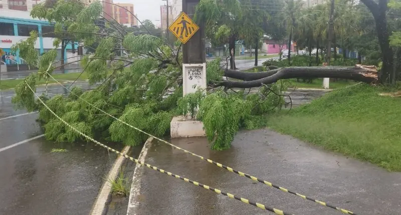 Ventos de 95 km/h em Santo Antônio da Platina: Defesa Civil prepara ajuda a municípios afetados